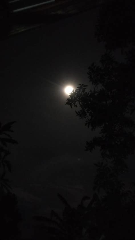 Moon Aesthetics .